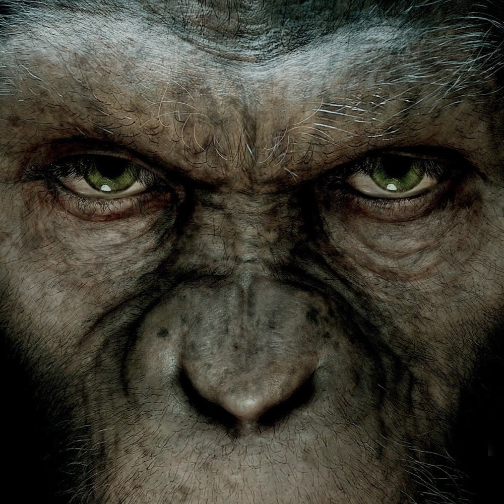 Meet your Posher, Vic